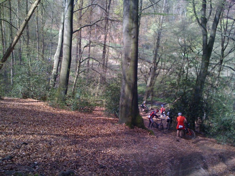 CTF SV Steele 2012